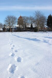 IMG_0985_002